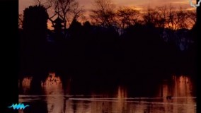 فیلم سینمایی آدمکش بادوبله فارسی