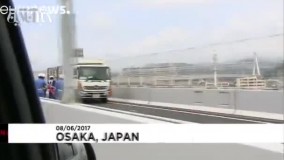 فرار خوک‌ها، ژاپن را به دردسر انداخت