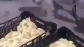 واااااااای واقعا داره جوجه هارو یکی یکی میخوره این بزه!!!!!!!!!!!!!