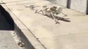 وقتی از سرکار میام خونه سر ظهر ! 