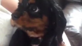 وقتی میفهمم بابام رفته کارناممو بگیره ..