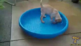 من درست موقعی که مطمعنم به موفقیت دست پیدا کردم!