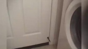 چه گیری دادی به اون گوگولی اخه بابا!