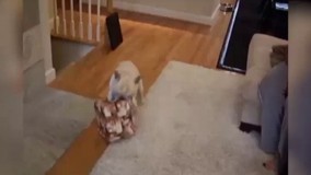 وااااااااای عاشق این توپه بودددددددددم 