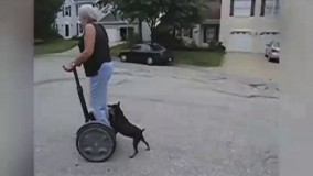 ببین کی دااره کیو هول میده اخه