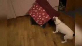 خونمو بده مال خودمه.تو برو یه خونه سی خودت پیدا کن