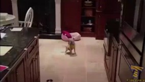 وقتی لیمو ترش میخوری