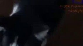 این چرا این شکلیه؟