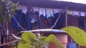 به خدا مردم مریضن????