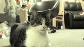 این اشغالا چیه میاری جلو من