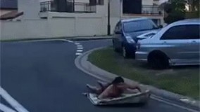 قالیچه ی پرنده که دیدین؟  اینم قالیچه ی خزنده است