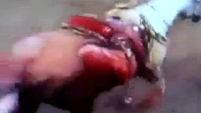 وقتی یه گاو خشمگین به یه اسب حمله میکنه???? به دلیل خشونت بالا" دیدن این ویدیو به هیچ عنوان به دوستانی که روحیه حساسی دارن پیشنهاد نمیشه