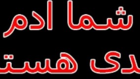 فانی گروپ|شروع کار