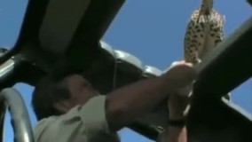 چیه خوب؟اونجا دوست داره دسشویی کنه