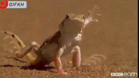 مربی ورزش اوردم براتون