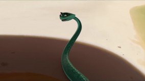 پیش نمایش انیمیشن صحرا Sahara 2017