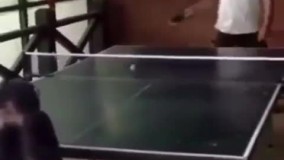 ابرو ما رو پیش میمون برد