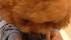 حقوق این ماه رو گرفته