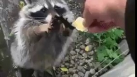 وقتی میخوان وام ازدواج بهت بدن