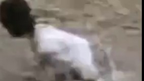 به گوسفنده ماسک ترسناک زدن بقیه گوسفندا ازش میترسن