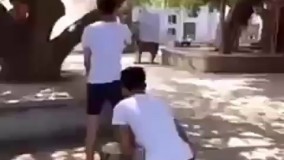 مگه از این شوخی ها هم،داریم