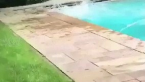 اولی دومی خوب رفتنا