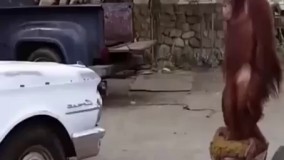 بهترین بازیگر سال