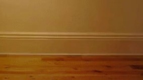 به علت کمبود پست، به پیام های بازرگانی توجه فرمایید 