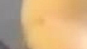 این طوطى با سگ ها بزرگ شده! حالا بقیش رو خودتون ببینید