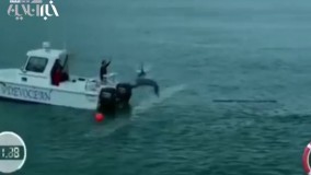 مسابقه تماشایی «فلپس» قهرمان شنا با کوسه