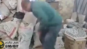 موش بود تو شلوارش