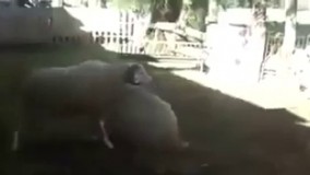 دوتا از ادمینای گروه بغلی اومدن دعوا