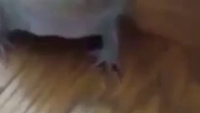 لبخند رضایت فقط این