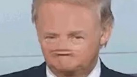 کاریکاتور ترامپ (نبینی از دست رفته)