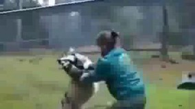 این کلیپ جنک ادم و گرگ و به هییییییچ وجه از دست ندین.عالیه