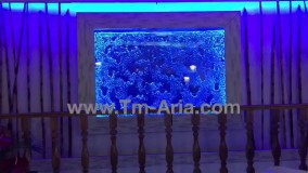 طراحی و اجرا آب نمای حبابی ، آبنمای شیشه ای، آبنمای شیشه ای مدرن در رستوران