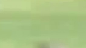 زیرکانه ترین گلهای تاریخ فوتبال