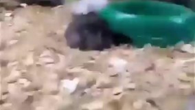 وای چقدر مستم من????????