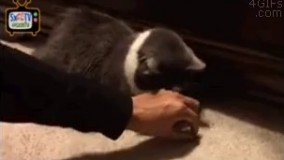 یارانه ای که بهمون میدن