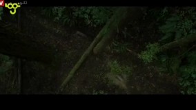 فیلم سینمایی اژدهای پیت بادوبله فارسی