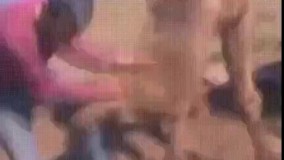 با شتر جماعت شوخی نکن