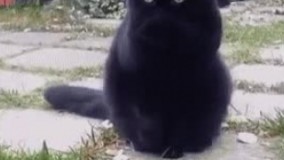 وقتی یکی از فامیل ها را تو خیابون میبینم 