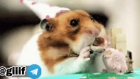  وقتی تنهایی غذا میخورم