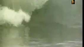 فیلم ایرانی چریکه ی تارا 