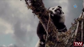 فیلم سینمایی بازگشت پاندا بادوبله فارسی