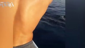 بازی با نهنگ در آب های ساحل بوشهر