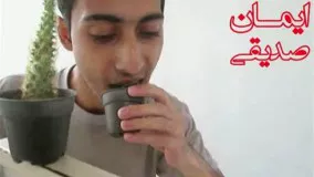 کلیپ کاکتوس خوردن یه ایرانی!