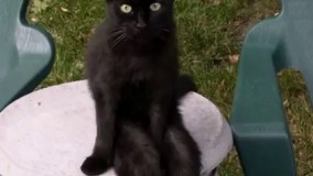 قیافه دخترا وقتی منتظرندوستاشون بیان خونشون....   تکون دادن پاش دیگه خیلی شبیهه خدایی