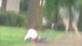 یعنی بلد نیست؟؟؟