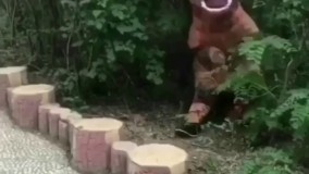 دوربین مخفی دایناسور